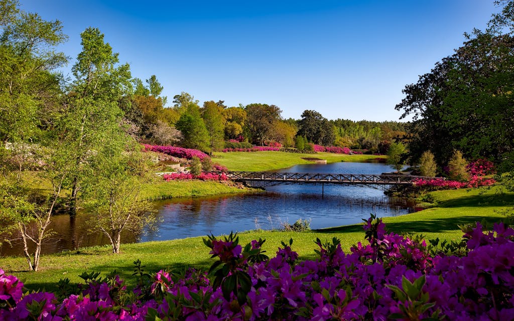Local Staycation Adventures, Local Parks and Scenery