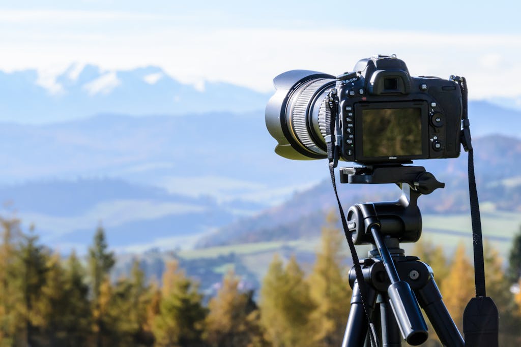 Photography Safari Staycation