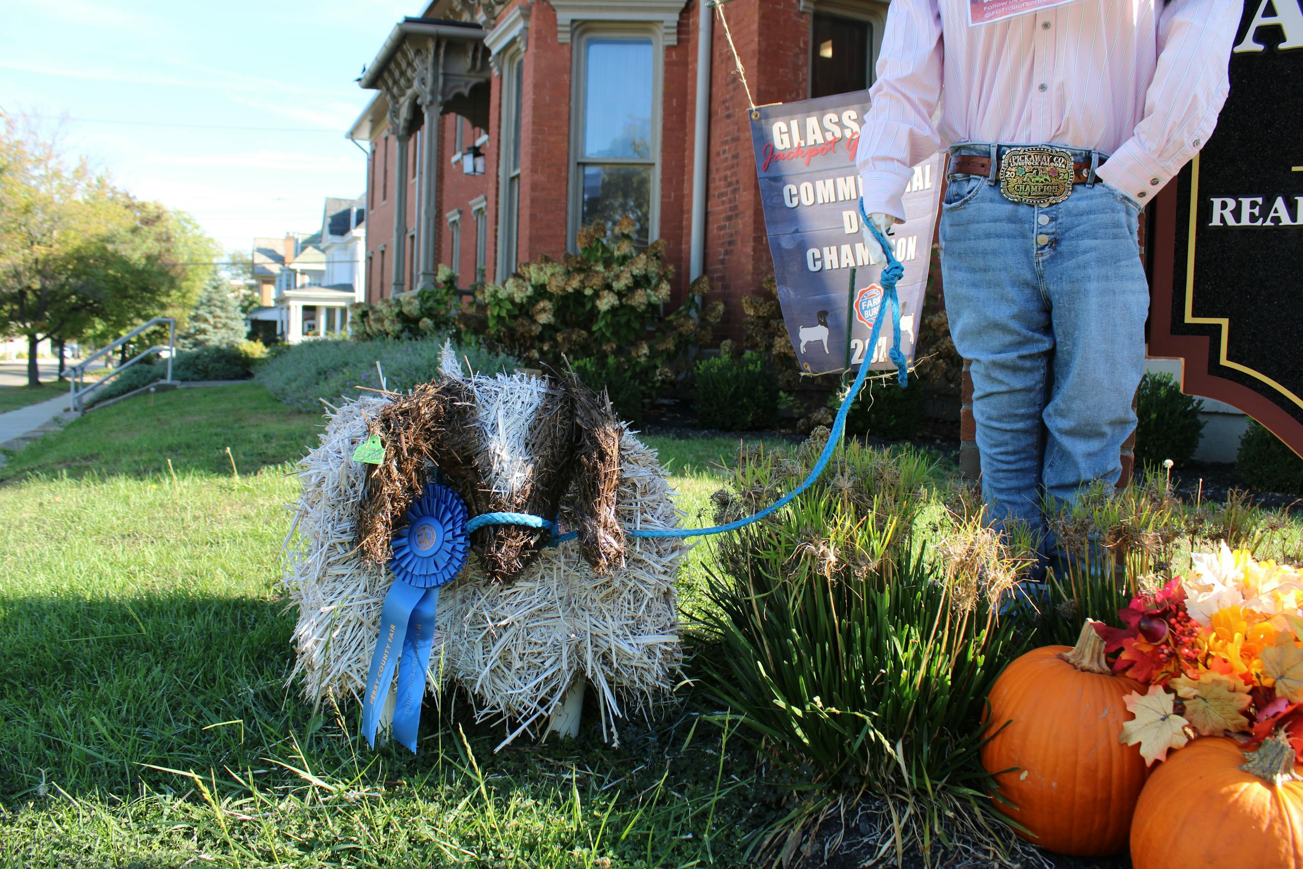 County fair scarecrow showing of prize sheep made out of painting hay at autumn agricultural event.