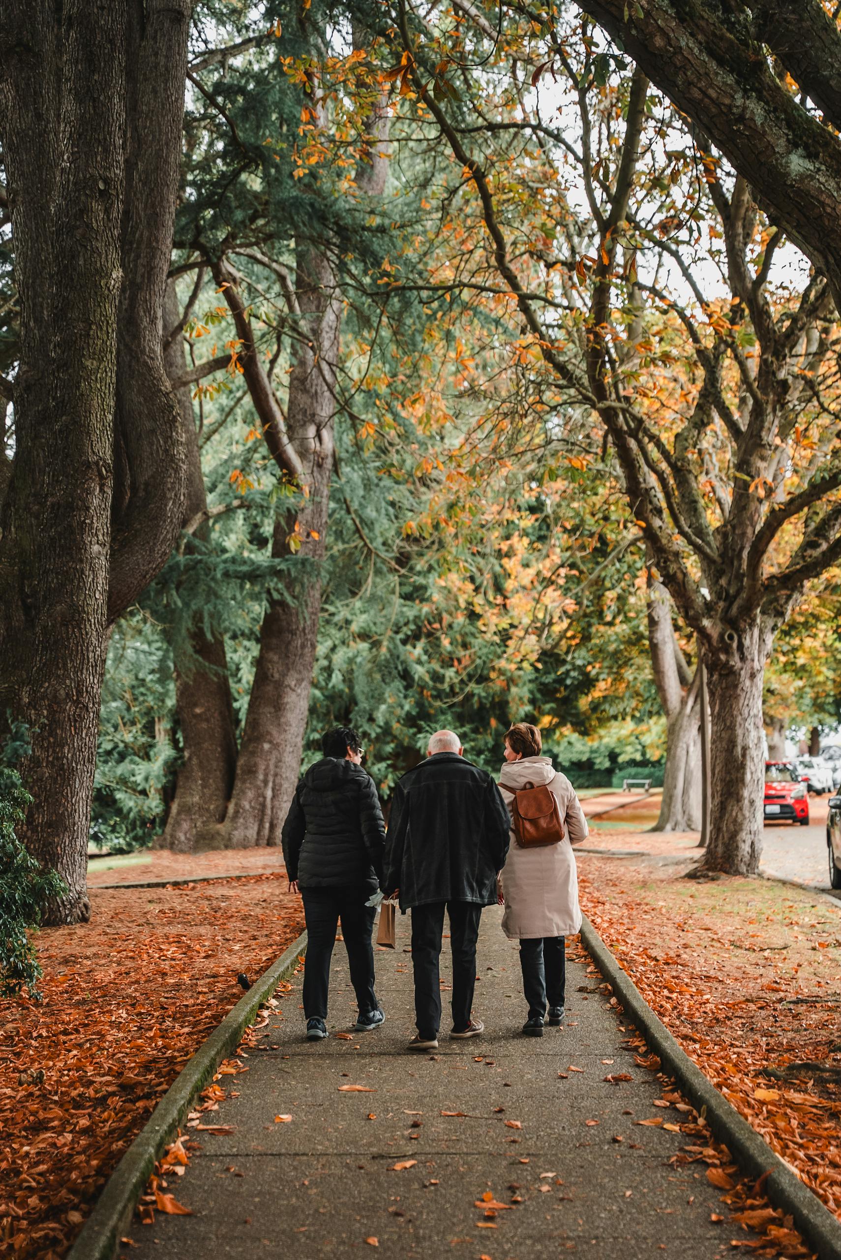 Three people walking on a tree-lined path covered in autumn leaves