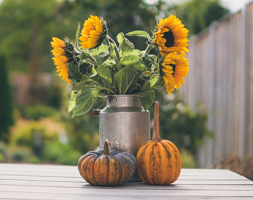 A rustic autumn setup featuring sunflowers in a metal jug with pumpkins on a wooden table.