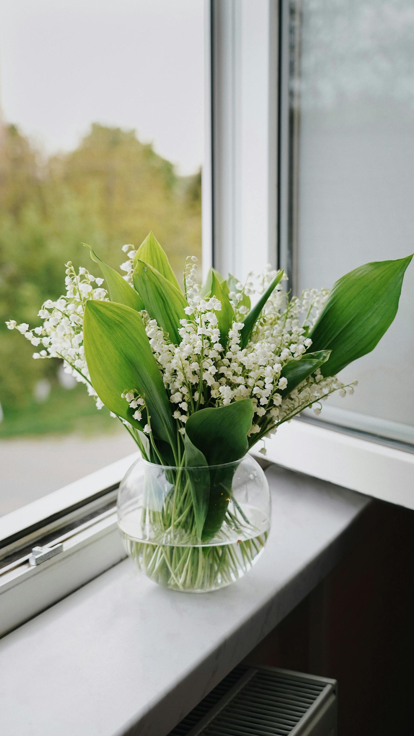 Spring clean shortcuts Serene bouquet of Lily of the Valley in glass vase on bright windowsill.
