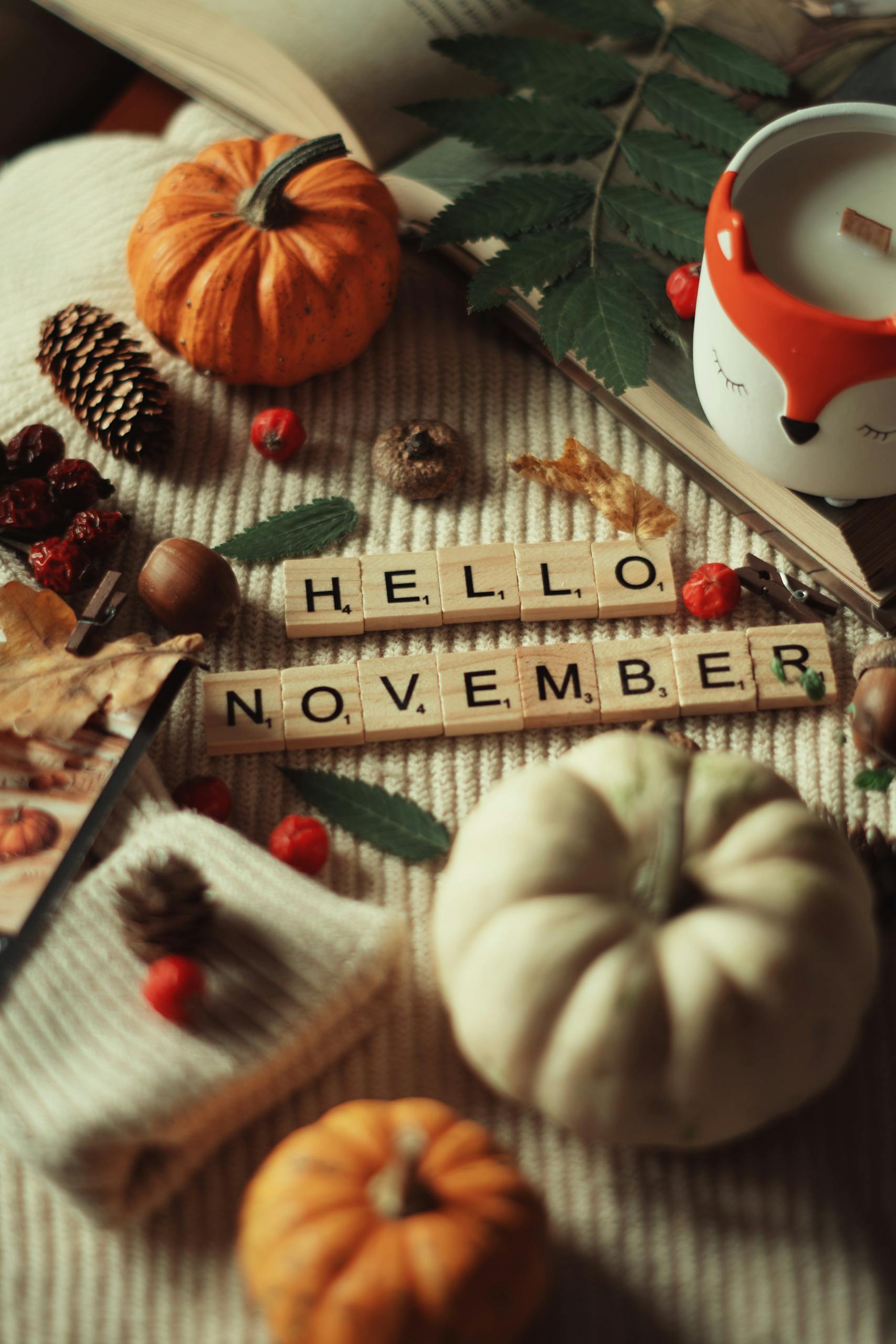 Warm autumn-themed arrangement with pumpkins, pine cones, and 'Hello November' text.