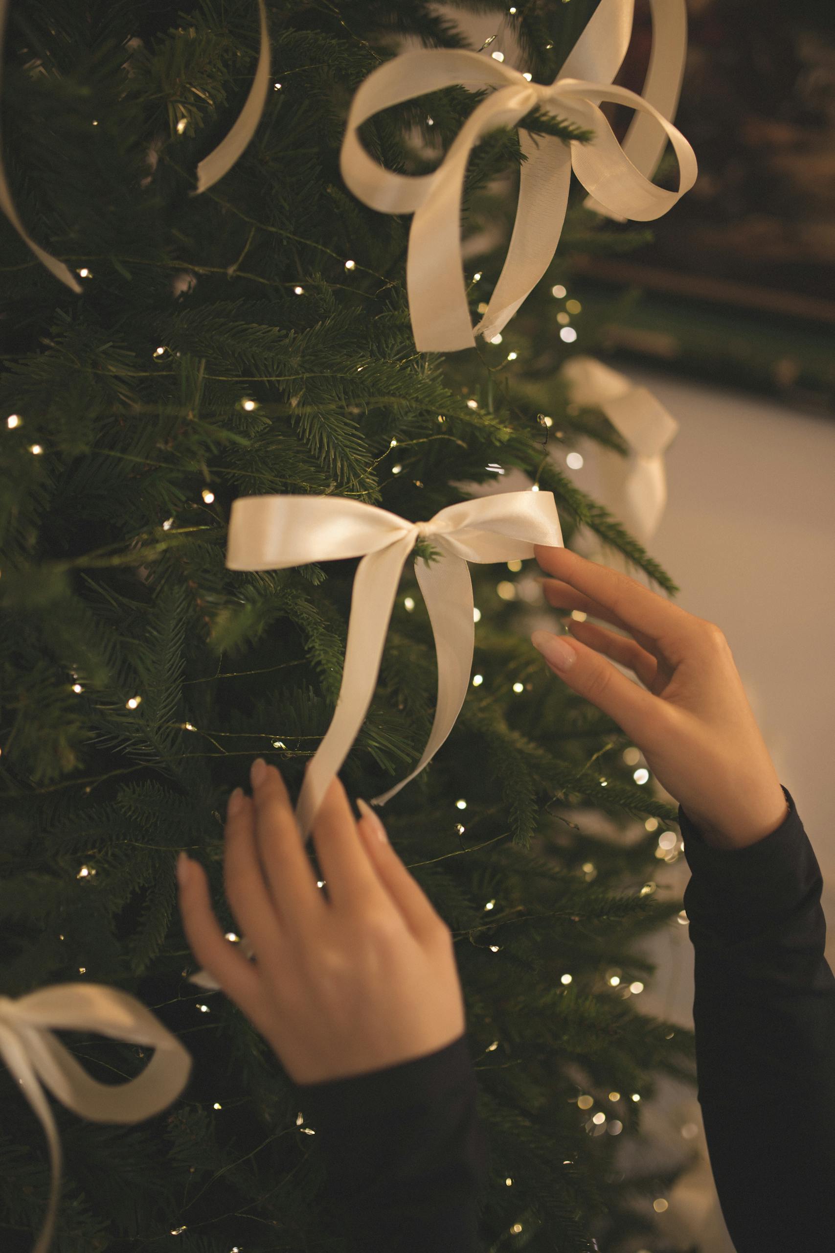 Close-up of hands decorating a Christmas tree with elegant white ribbon bows.