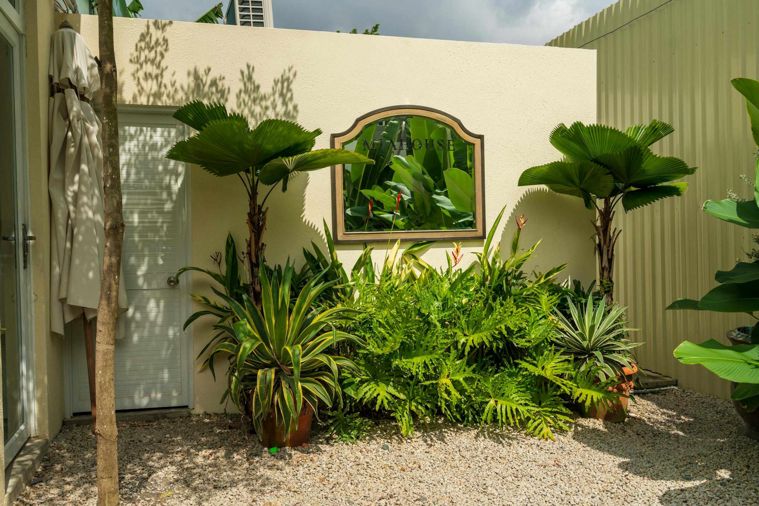 A peaceful garden scene with tropical plants and a welcoming mirror.