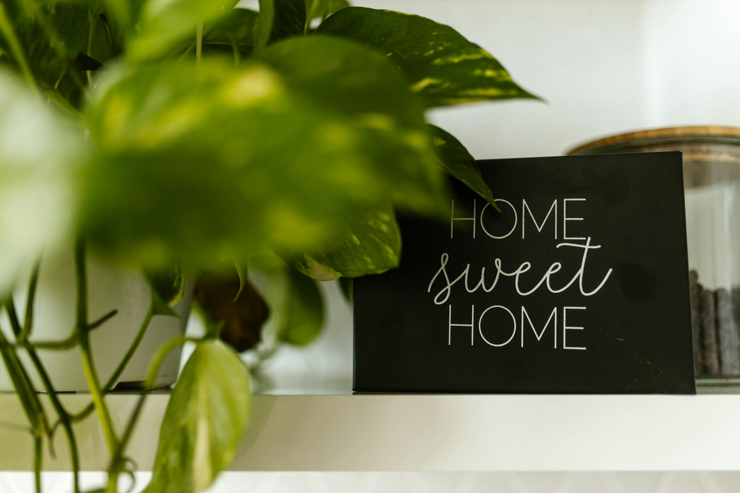Elegant home decor featuring a 'Home Sweet Home' sign surrounded by lush green plants.