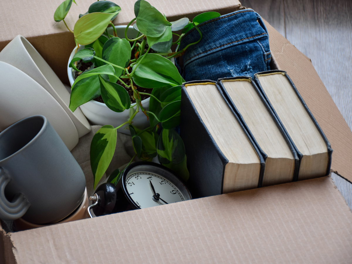 Open moving box filled with personal items including books, mugs and a plant
