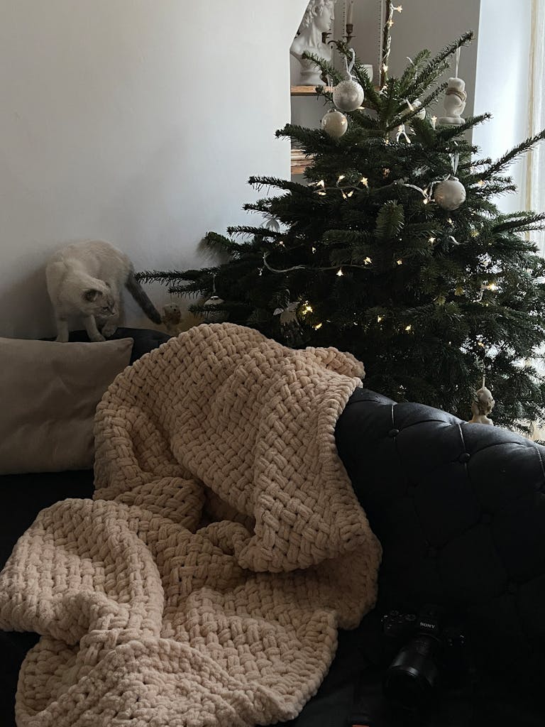 Warm and inviting living room featuring a knitted blanket, decorated Christmas tree, and curious cat.