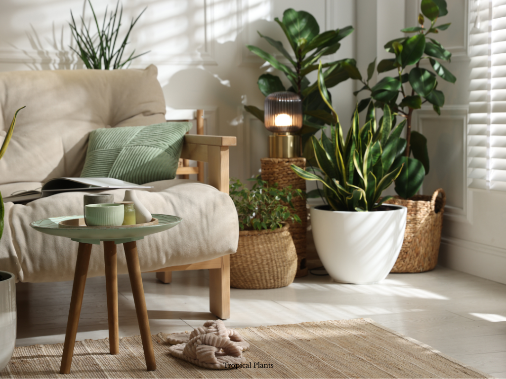 indoor plants in summer living room to make it feel like a holiday villa tropical lush greenery interior styling