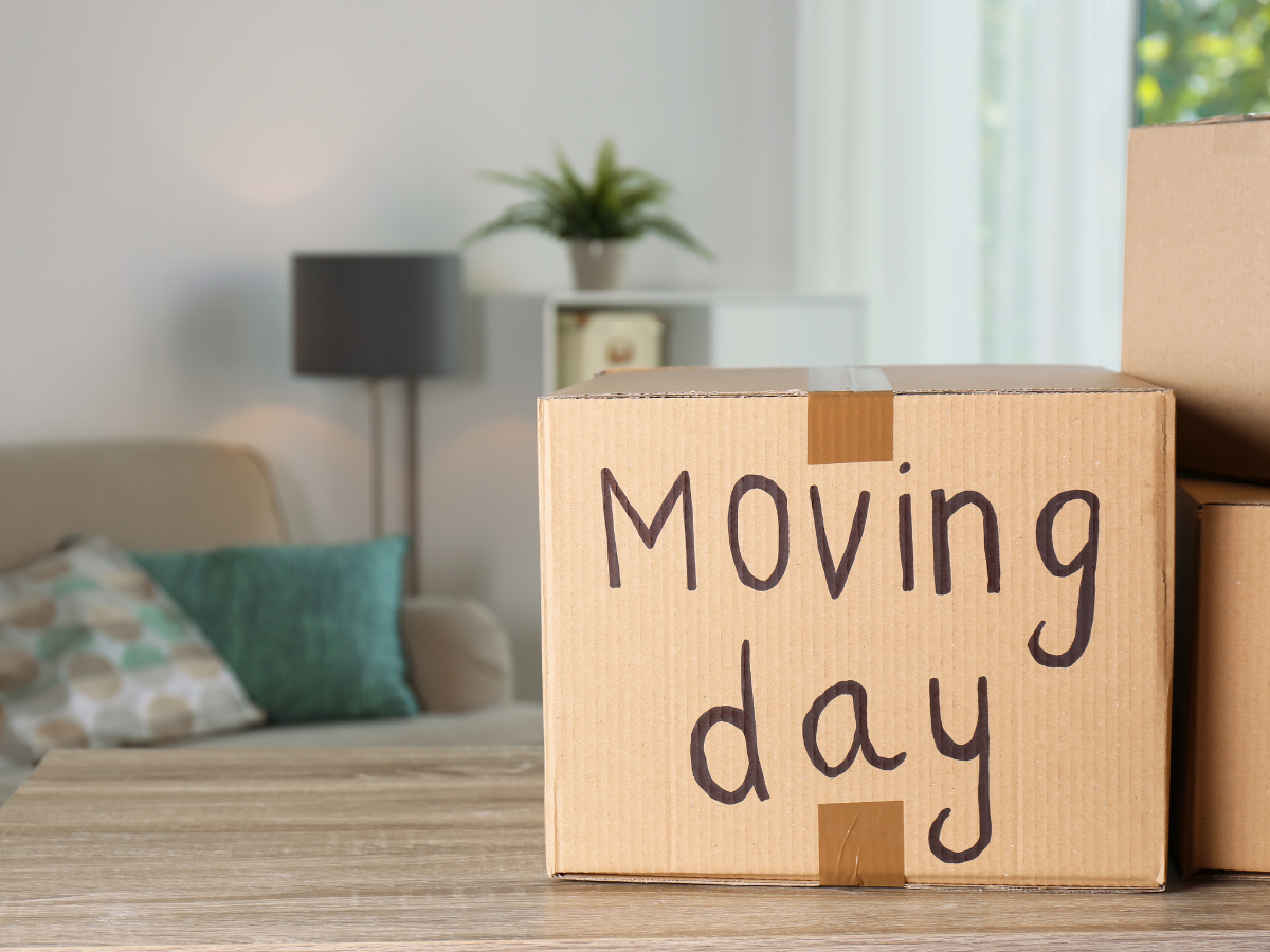 Moving House Essentials