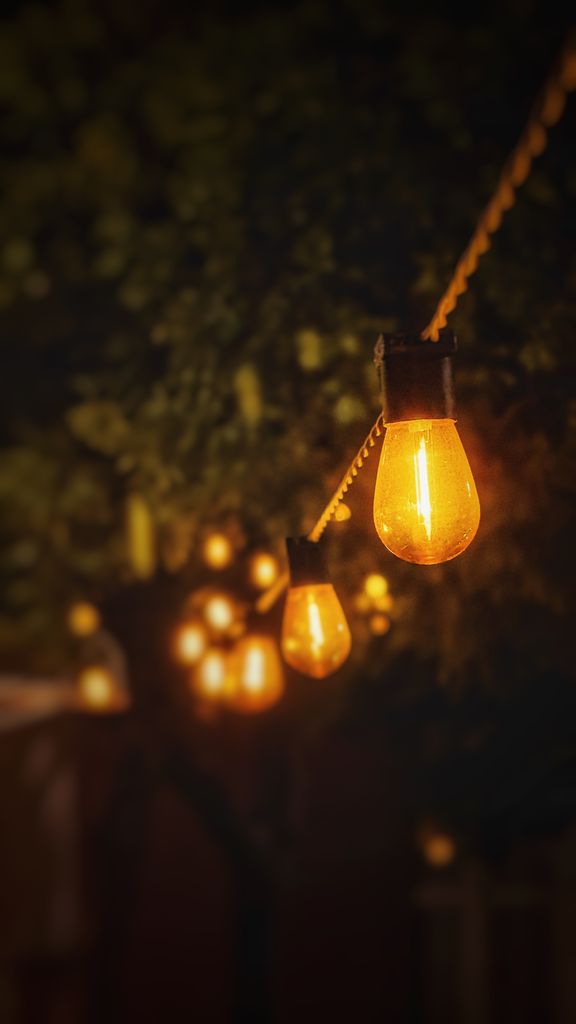Warm glowing string lights illuminate a tree- at night.