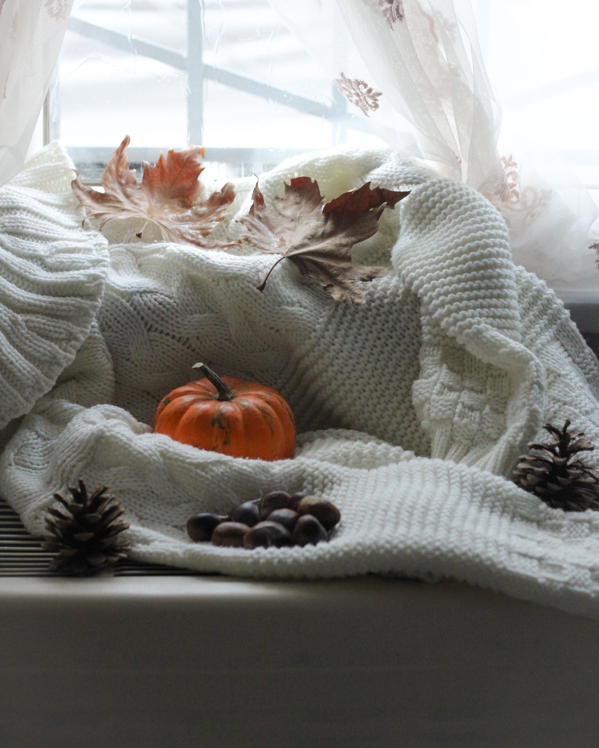 A cozy autumn-themed window display with a pumpkin, leaves, and a sweater for warm seasonal ambiance.