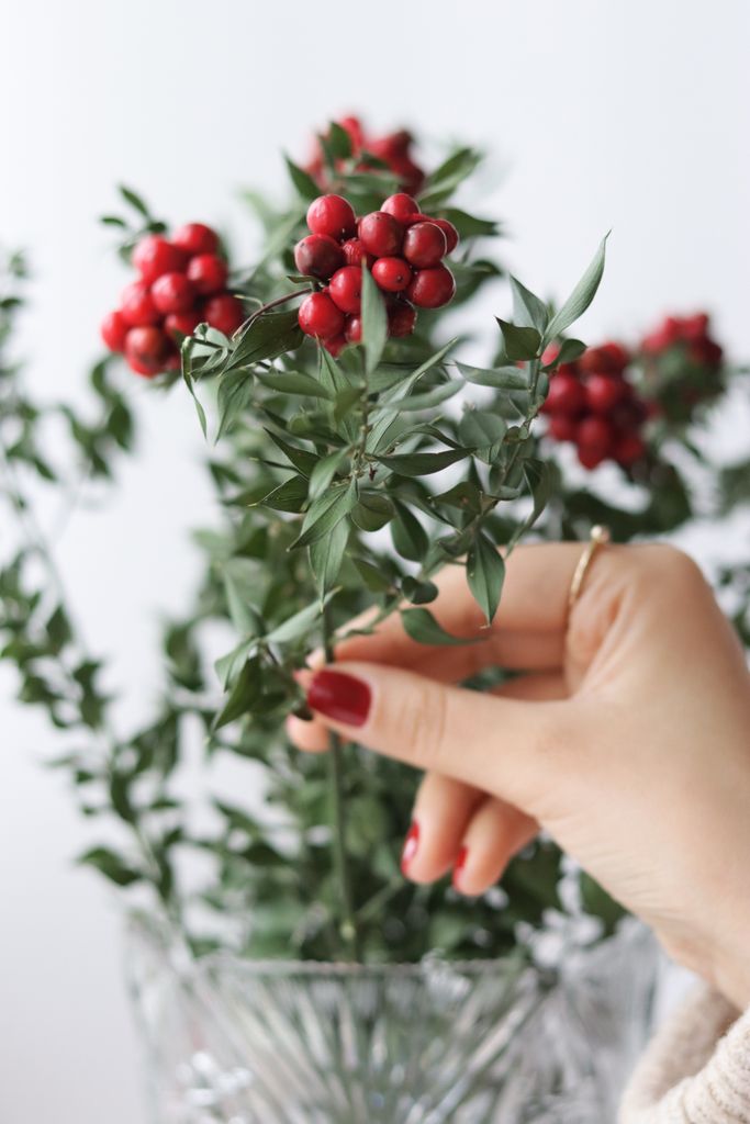 A delicate hand touches a vibrant holly branch with red berries in a glass vase, perfect for winter decor.