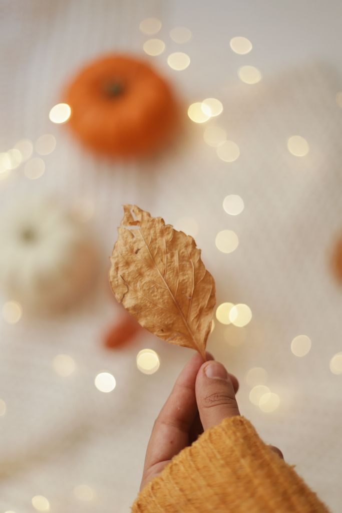 A hand in a sweater holds a dry autumn leaf with bokeh lights in background.
