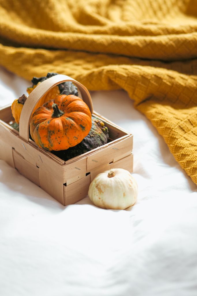 A warm autumn scene featuring pumpkins in a basket with a soft, yellow blanket background.