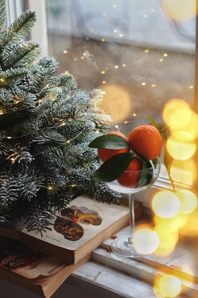 Festive window decoration with Christmas tree and fresh oranges in a glass cup.