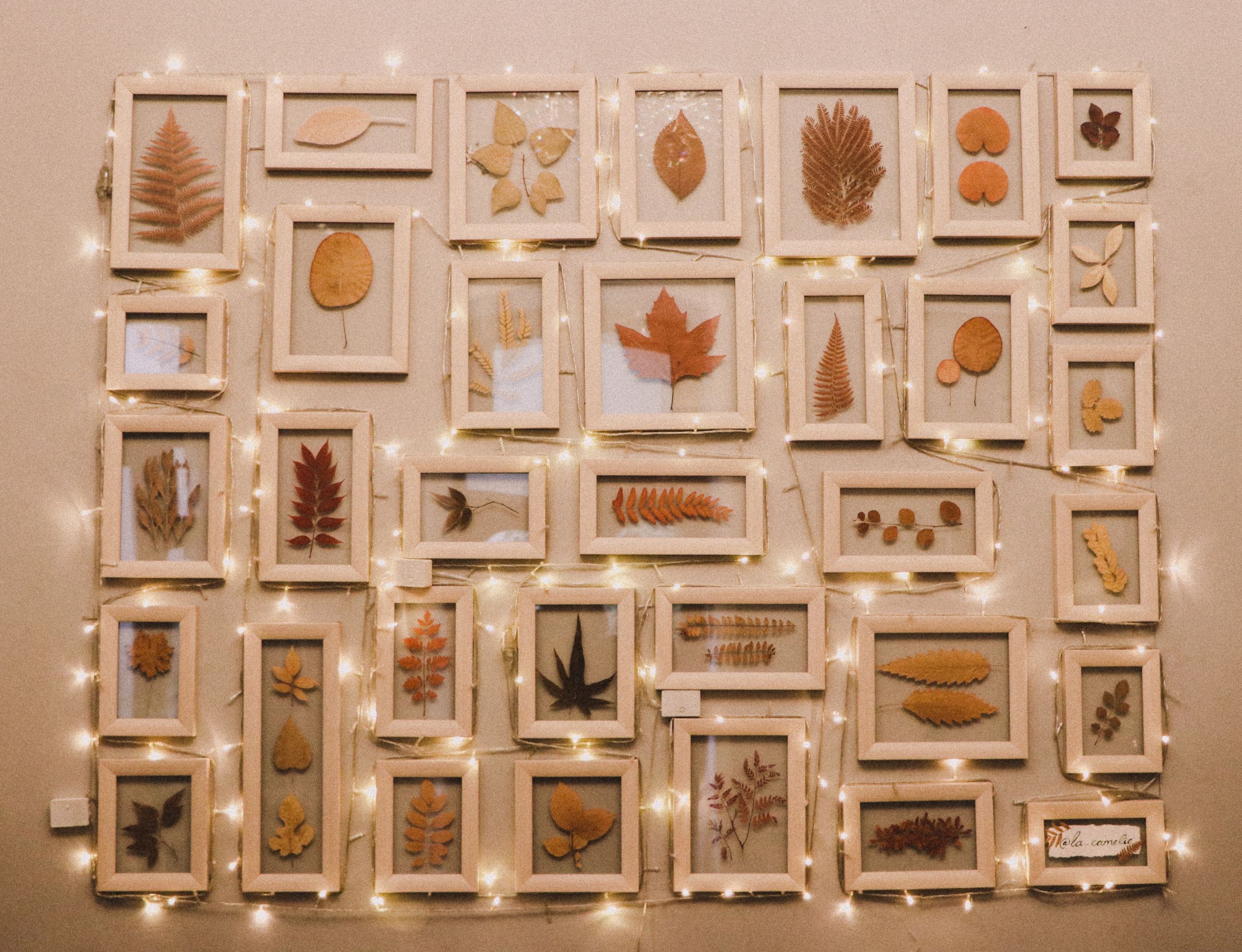 Framed collection of autumn leaves illuminated with warm string lights on a wall.